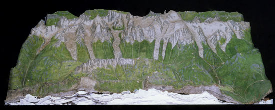 Relief of the Mont Blanc